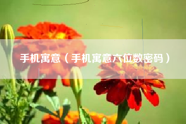 手机寓意（手机寓意六位数密码）