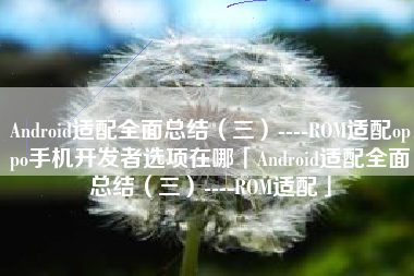Android适配全面总结（三）----ROM适配oppo手机开发者选项在哪「Android适配全面总结（三）----ROM适配」