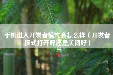 手机进入开发者模式会怎么样（开发者模式打开好还是关闭好）