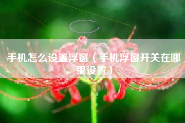 手机怎么设置浮窗（手机浮窗开关在哪里设置）