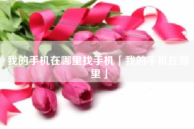 我的手机在哪里找手机「我的手机在哪里」