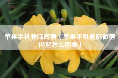 苹果手机登陆微信（苹果手机登陆微信闪退怎么回事）