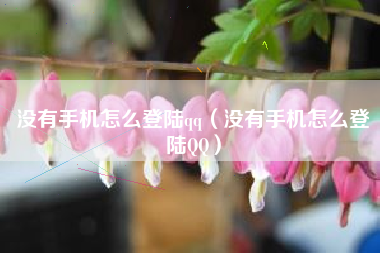 没有手机怎么登陆qq（没有手机怎么登陆QQ）