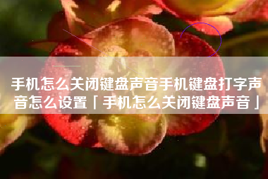 手机怎么关闭键盘声音手机键盘打字声音怎么设置「手机怎么关闭键盘声音」