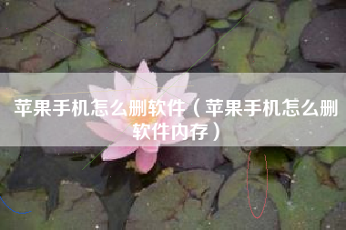 苹果手机怎么删软件（苹果手机怎么删软件内存）