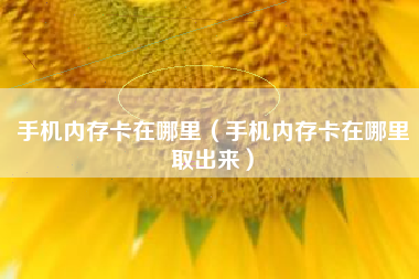 手机内存卡在哪里（手机内存卡在哪里取出来）