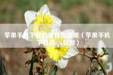 苹果手机下载的软件在哪里（苹果手机下载的app在哪）