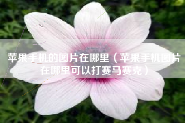苹果手机的图片在哪里（苹果手机图片在哪里可以打赛马赛克）