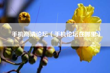 手机高清论坛（手机论坛在哪里）