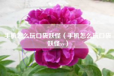 手机怎么玩口袋妖怪（手机怎么玩口袋妖怪xy）