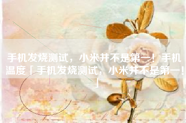 手机发烧测试，小米并不是第一！手机温度「手机发烧测试，小米并不是第一！」