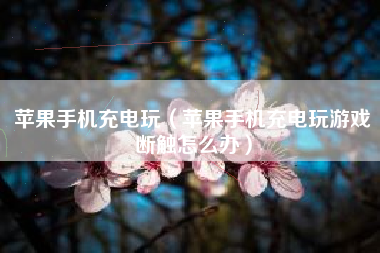 苹果手机充电玩（苹果手机充电玩游戏断触怎么办）