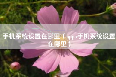 手机系统设置在哪里（oppo手机系统设置在哪里）