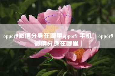 oppor9微信分身在哪里oppor9 手机「oppor9微信分身在哪里」