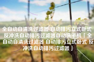 全自动自清洗过滤器 自动排污立式卧式 反冲洗自动排污过滤器自动洗手机「全自动自清洗过滤器 自动排污立式卧式 反冲洗自动排污过滤器」