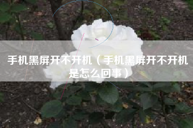 手机黑屏开不开机（手机黑屏开不开机是怎么回事）