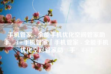 手机管家 - 全能手机优化空间管家助‪手‬4+手机管家「手机管家 - 全能手机优化空间管家助‪手‬4+」