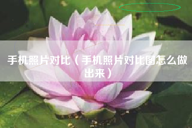 手机照片对比（手机照片对比图怎么做出来）