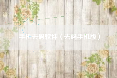 手机去码软件（去码手机版）