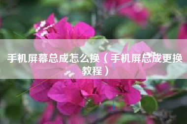 手机屏幕总成怎么换（手机屏总成更换教程）
