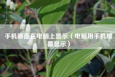 手机画面在电脑上显示（电脑用手机屏幕显示）