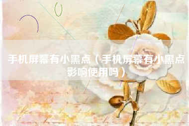 手机屏幕有小黑点（手机屏幕有小黑点影响使用吗）