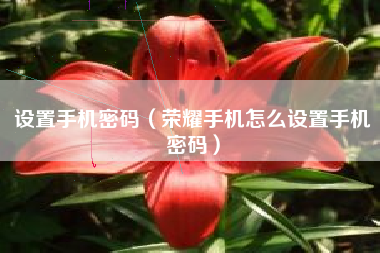 设置手机密码（荣耀手机怎么设置手机密码）