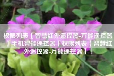 权限列表【智慧红外遥控器-万能遥控器】手机智能遥控器「权限列表【智慧红外遥控器-万能遥控器】」