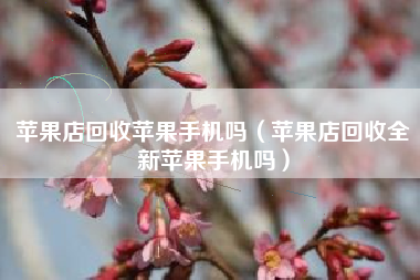 苹果店回收苹果手机吗（苹果店回收全新苹果手机吗）
