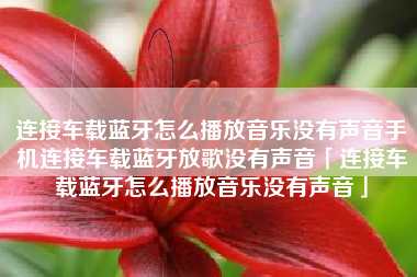 连接车载蓝牙怎么播放音乐没有声音手机连接车载蓝牙放歌没有声音「连接车载蓝牙怎么播放音乐没有声音」