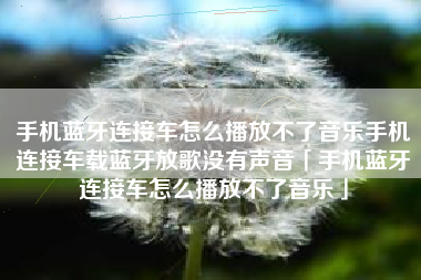手机蓝牙连接车怎么播放不了音乐手机连接车载蓝牙放歌没有声音「手机蓝牙连接车怎么播放不了音乐」