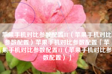 苹果手机对比参数配置11（苹果手机对比参数配置）苹果手机对比参数配置「苹果手机对比参数配置11（苹果手机对比参数配置）」