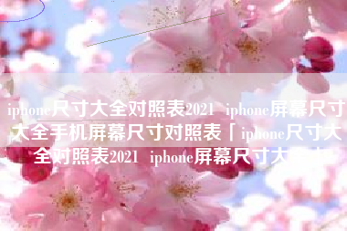 iphone尺寸大全对照表2021  iphone屏幕尺寸大全手机屏幕尺寸对照表「iphone尺寸大全对照表2021  iphone屏幕尺寸大全」