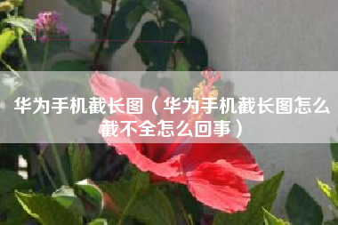 华为手机截长图（华为手机截长图怎么截不全怎么回事）