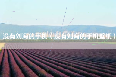 没有刘海的手机（没有刘海的手机壁纸）