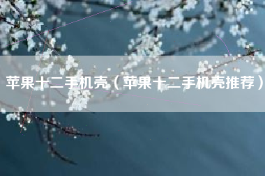 苹果十二手机壳（苹果十二手机壳推荐）