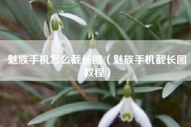 魅族手机怎么截长图（魅族手机截长图教程）