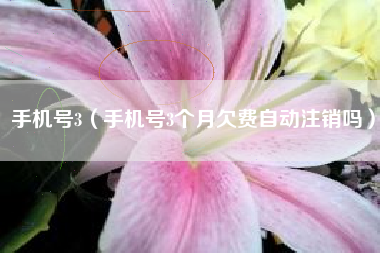 手机号3（手机号3个月欠费自动注销吗）