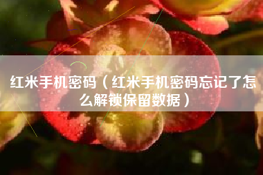 红米手机密码（红米手机密码忘记了怎么解锁保留数据）