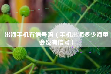 出海手机有信号吗（手机出海多少海里会没有信号）