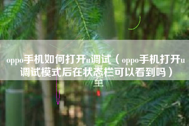 oppo手机如何打开u调试（oppo手机打开u调试模式后在状态栏可以看到吗）