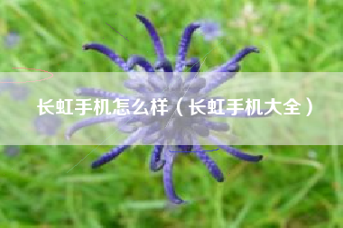 长虹手机怎么样（长虹手机大全）