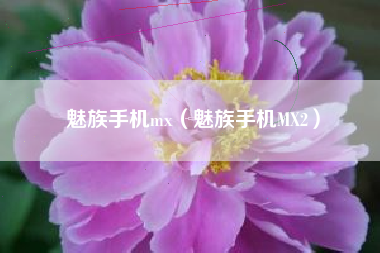 魅族手机mx（魅族手机MX2）