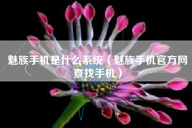 魅族手机是什么系统（魅族手机官方网查找手机）