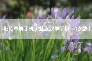 魅族双屏手机（魅族双屏手机pro7参数）