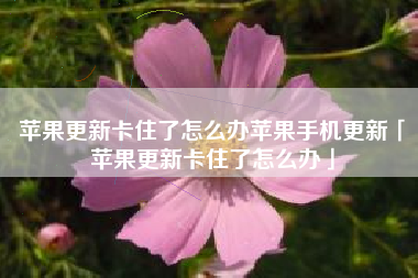 苹果更新卡住了怎么办苹果手机更新「苹果更新卡住了怎么办」
