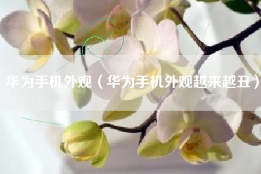 华为手机外观（华为手机外观越来越丑）