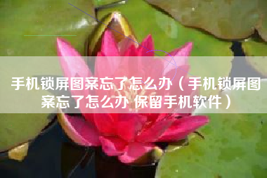 手机锁屏图案忘了怎么办（手机锁屏图案忘了怎么办 保留手机软件）