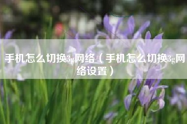手机怎么切换3g网络（手机怎么切换3g网络设置）