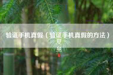 验证手机真假（验证手机真假的方法）